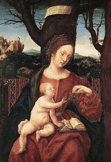 HERRERA, Francisco de, the Elder Madonna with Grape France oil painting art